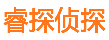 南岸市私家侦探